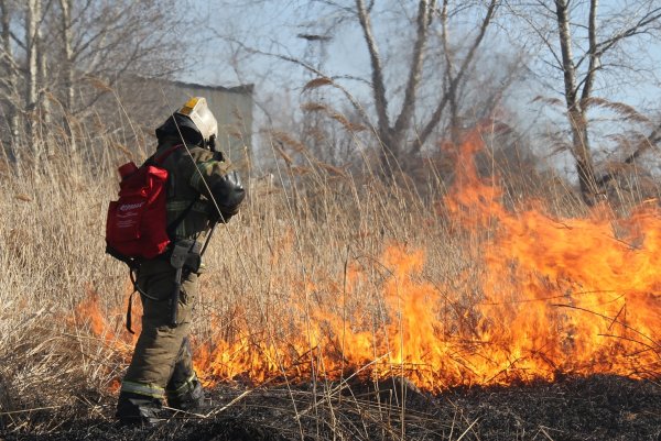 Пал травы МЧС