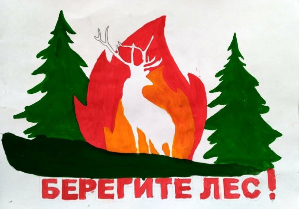 Берегите лес