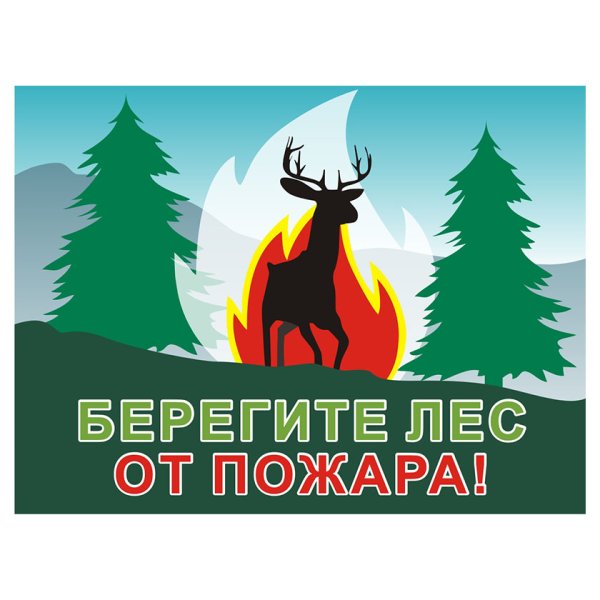 Берегите лес