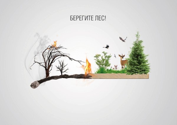Береги лес от пожара