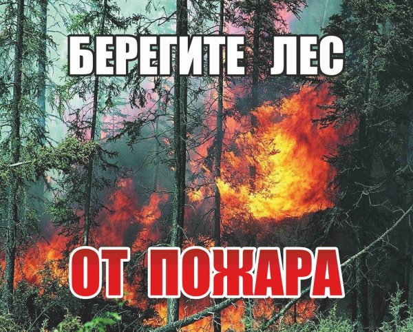 Берюгите лет от пожара