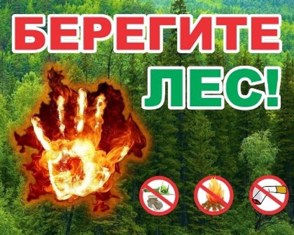Пожарная безопасность леса