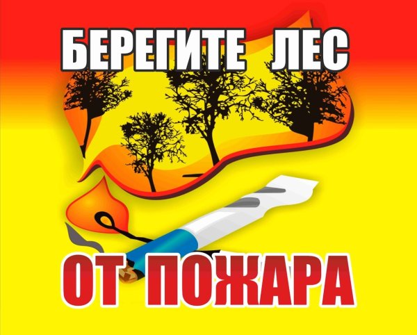 Берегите лес