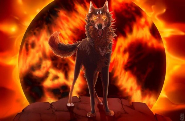 Солнечный волк