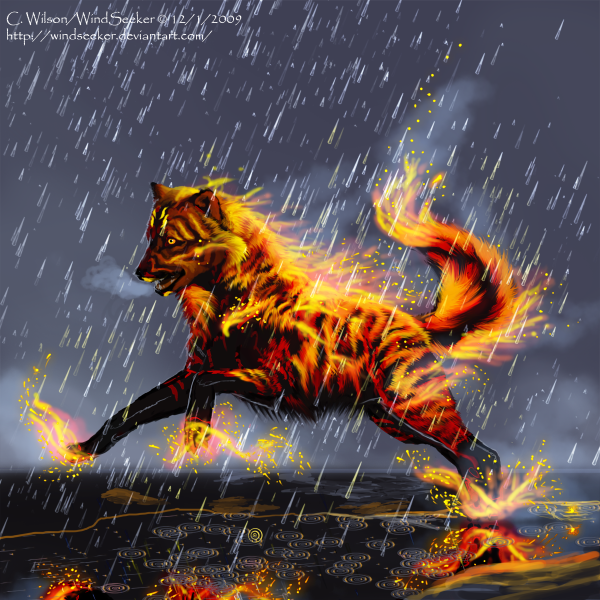 Огненный кот