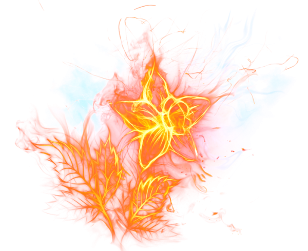 Огненный цветок на прозрачном фоне