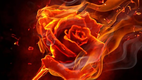 Огненный цветок