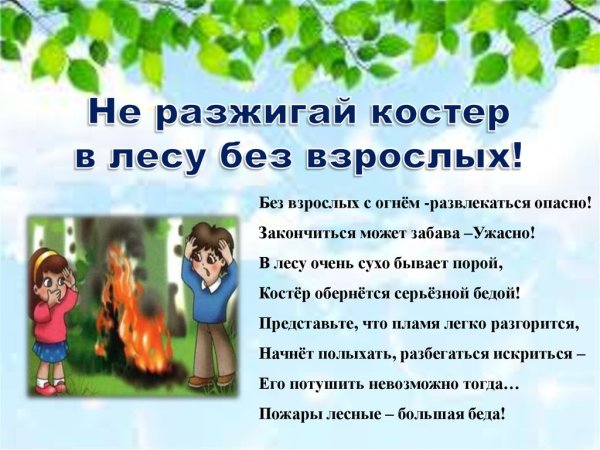 В лесу не разжигайте костер без взрослых