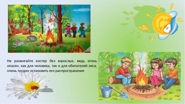 В лесу не разжигайте костер без взрослых