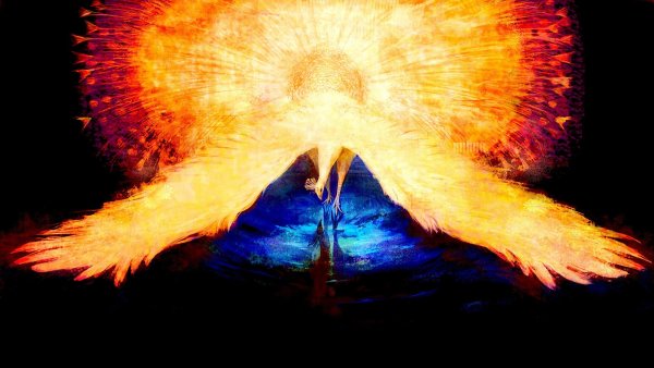 Огненный Павлин