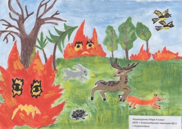 Рисунок на тему Лесные пожары