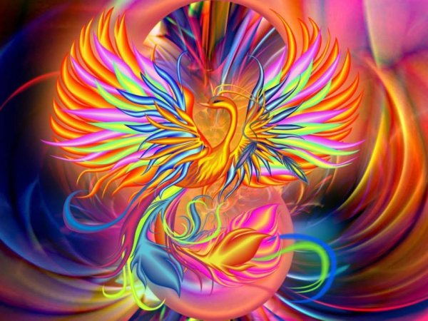 Феникс птица счастья