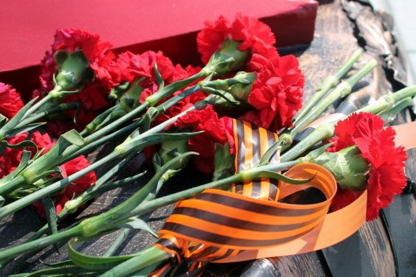 Вечный огонь Георгиевская лента и гвоздика