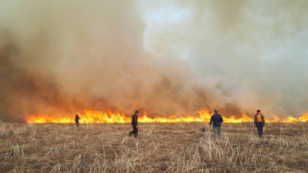 Поле горит