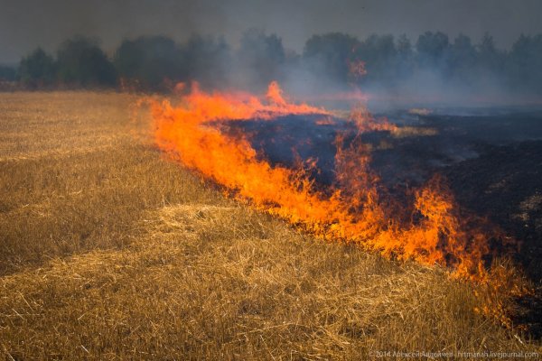 Горящее поле