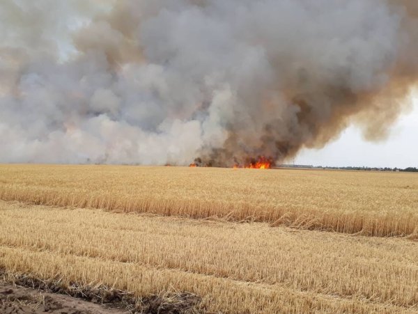 Горящее поле пшеницы