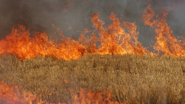 Горящее поле пшеницы