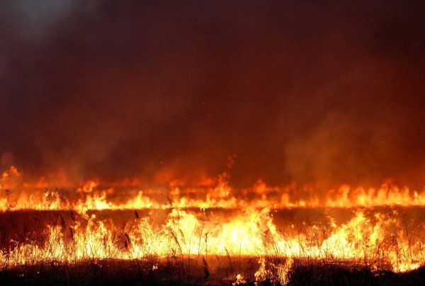 Огонь пожар