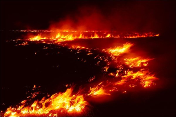 Огненное поле