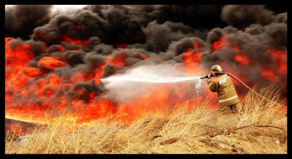 Пожарные тушат поле