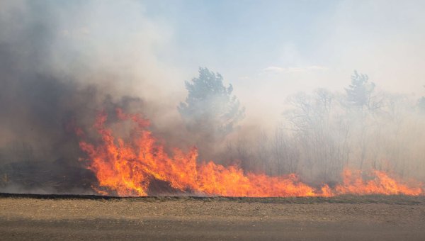 Пожар в поле