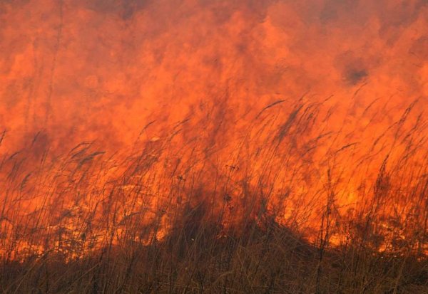 Огонь в степи