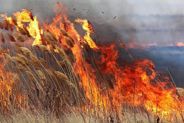 Степные пожары