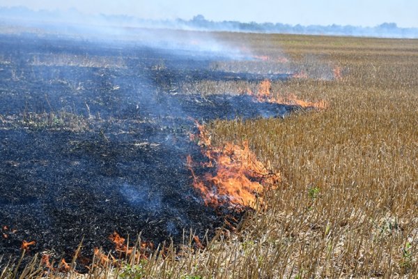 Горящее поле