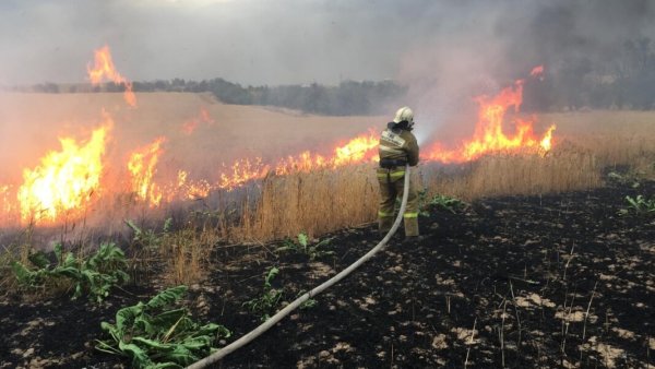 Пожар в поле