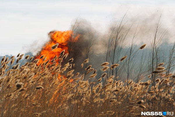 Пожар в поле сухой травы
