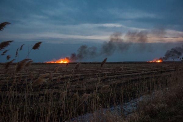 Пожар в поле