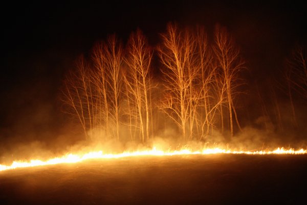 Лесные пожары