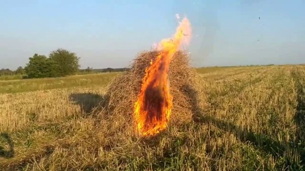 Солома в огне