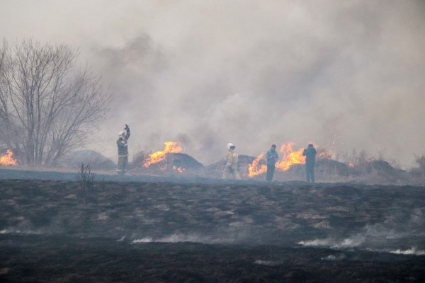 Лесные пожары в Тюменской области
