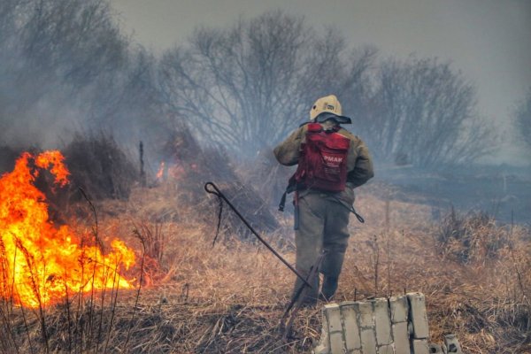 Пожары в Курганской области