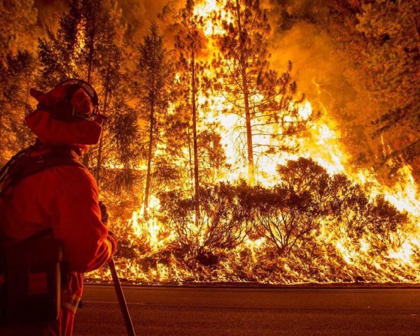 Лесные пожары