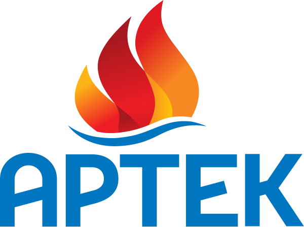 Артек старый логотип
