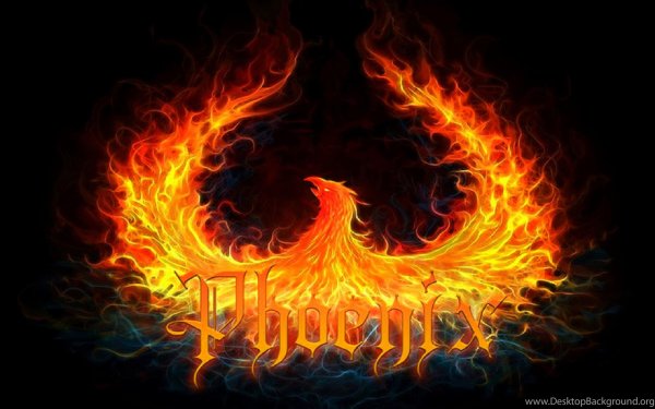 Феникс арт