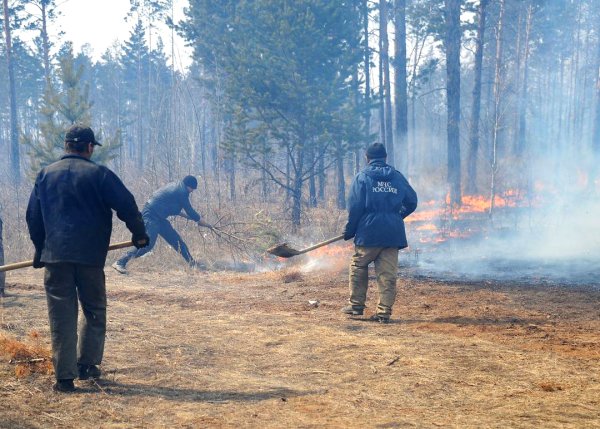 Засыпка кромки пожара грунтом