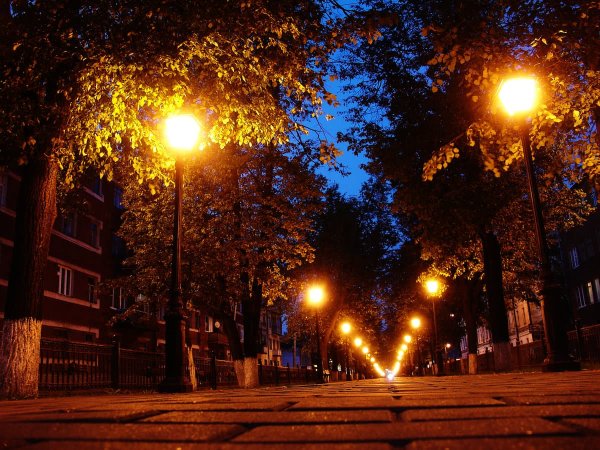 Прогулка вечером