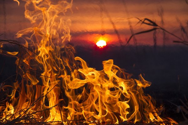 Пожар летом