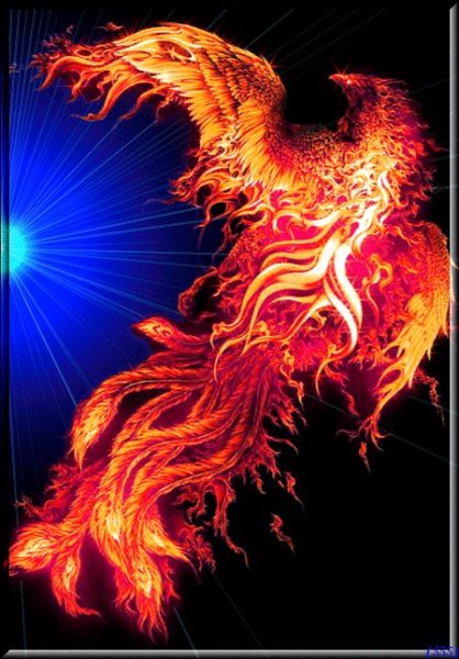 Огненный Феникс