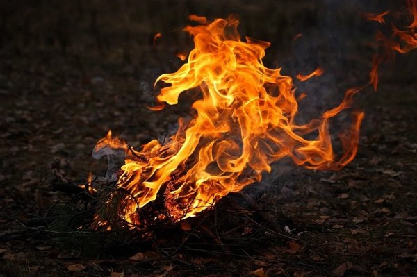 Колышущееся пламя костра