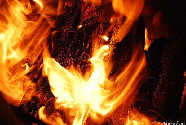 Огненная страсть