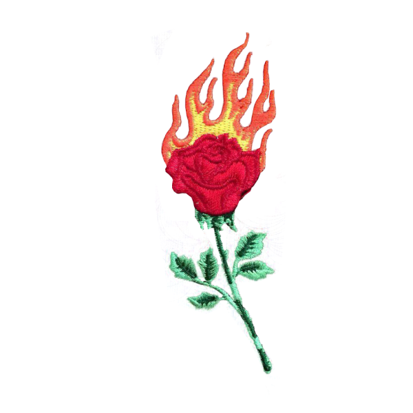 Огненная роза на прозрачном фоне