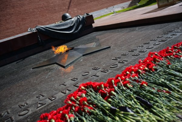 Гвоздики у вечного огня