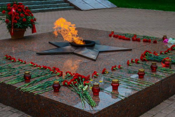 Смоленск вечный огонь в сквере памяти героев