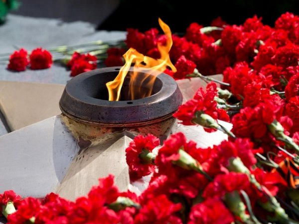 Цветок памяти в день памяти и скорби