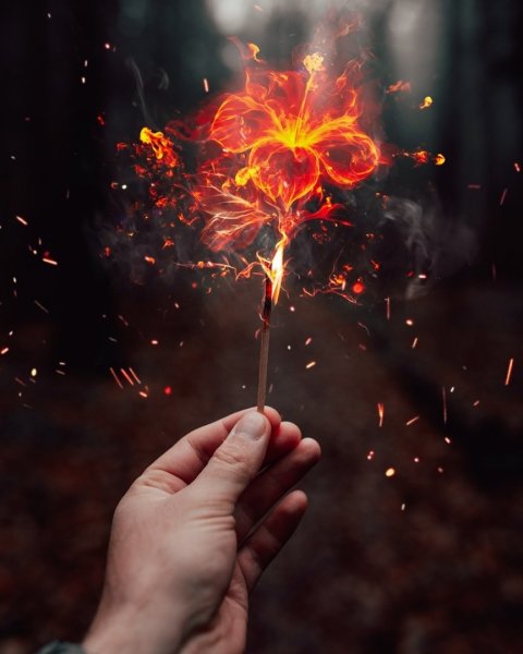 Горящий одуванчик