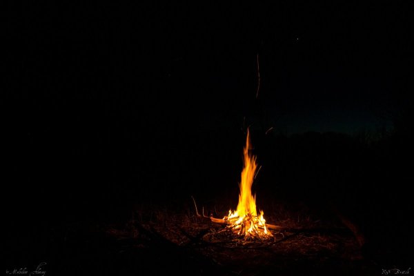 Костер в ночном лесу